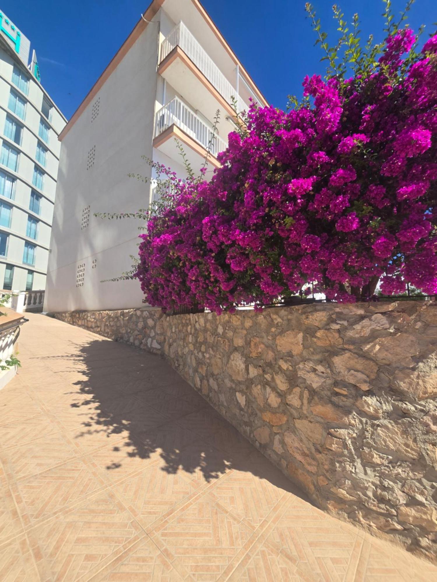 La Cantera Appartement Playa Peñiscola Zewnętrze zdjęcie